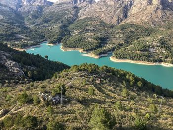 High angle view of lake amidst trees