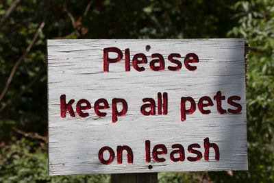 Close-up of information sign on wood