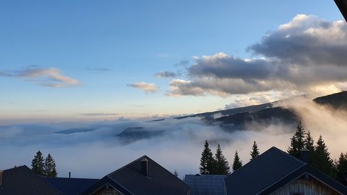 Low angle view of houses and trees against sky