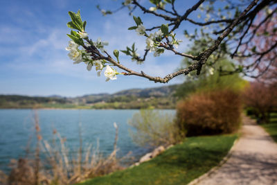 Scenic view of lake against sky