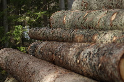 Close-up of stack of firewood