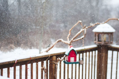 Red bird feeder overlooking a snowy field