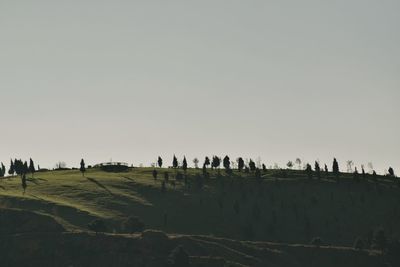 People in field against clear sky