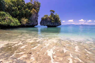 View of trees on beach