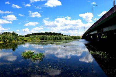 Reflection of trees in water against sky