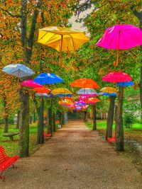 Gazebo in park