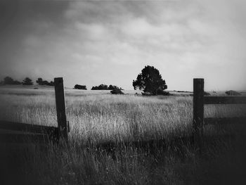 Scenic view of grassy field against cloudy sky