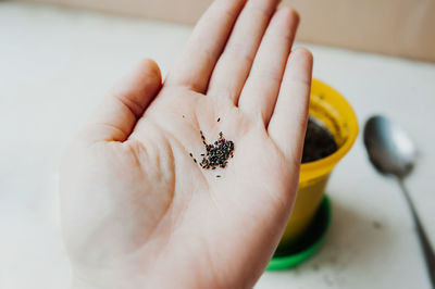 Close-up of hand holding small insect