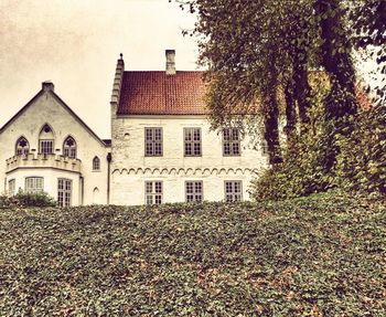 Building with trees in background