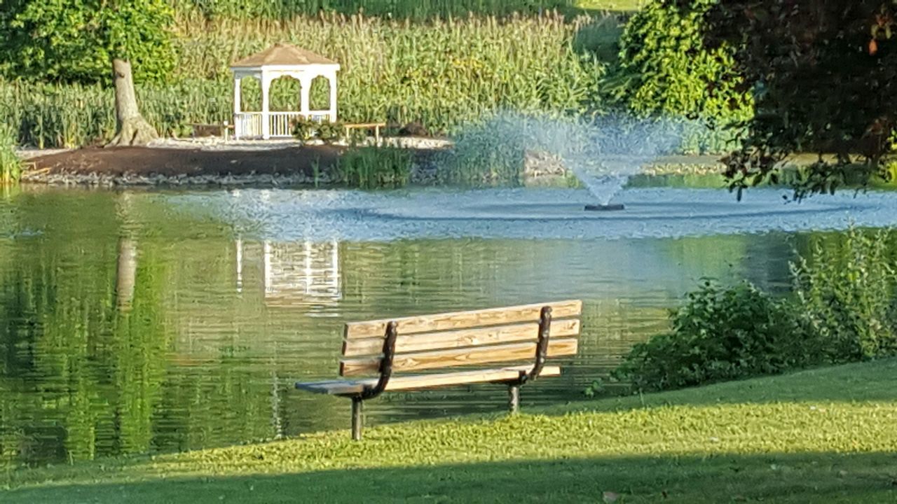 water, grass, tree, lake, bird, tranquility, nature, green color, bench, tranquil scene, beauty in nature, sunlight, growth, plant, scenics, park - man made space, reflection, outdoors, animal themes, building exterior