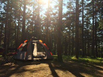 Tent in forest