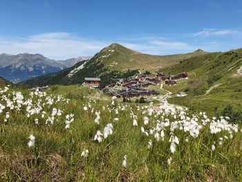 Scenic view of grassy field by mountains against sky