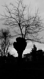 Silhouette bare tree against sky during sunset