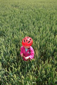 High angle view of girl on grassy field