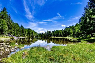 Scenic view of lake by trees against sky