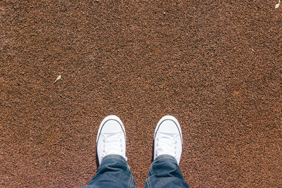 Low section of man standing on ground