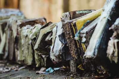 Close-up of damaged books in forest