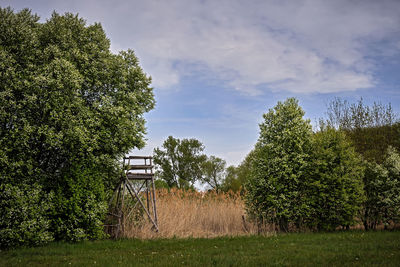 Trees growing on field against sky