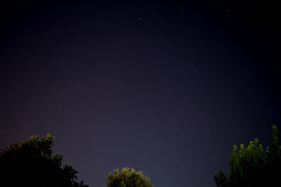 Low angle view of silhouette trees against sky at night