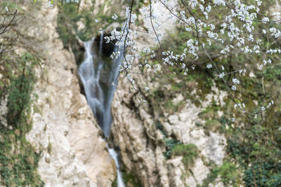 Scenic view of waterfall in forest