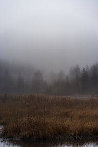 Scenic view of field against sky during foggy weather