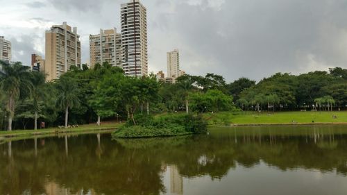 Reflection of trees in water