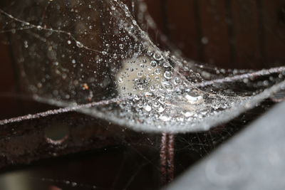 Close-up of water drop on leaf