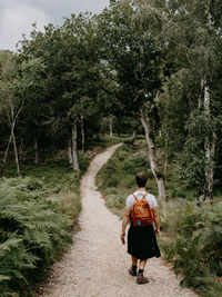 Man hiking in the new forest, uk with his back to the camera