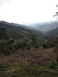 Scenic view of landscape against sky