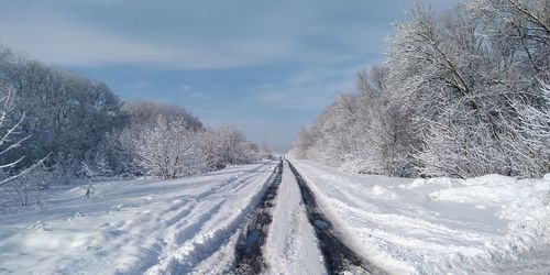 Snow covered road amidst trees against sky