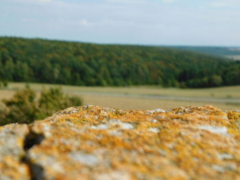 Surface level of land against sky