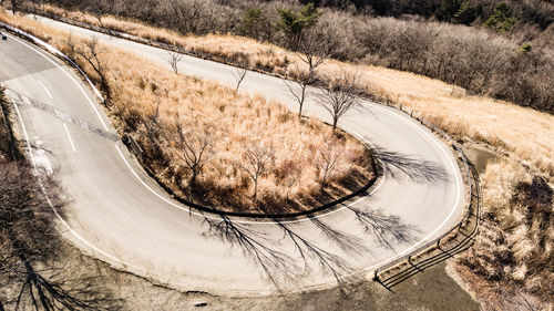 High angle view of snow covered road by trees