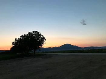 Silhouette tree on field against sky during sunset