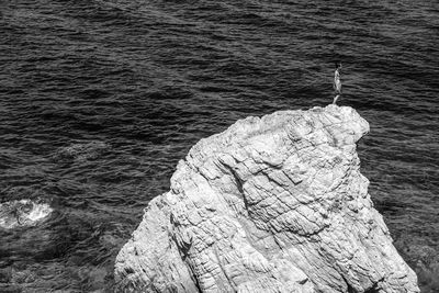 High angle view of rock on beach