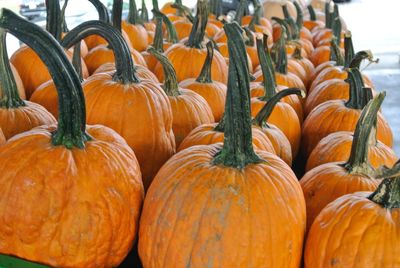 Close-up of pumpkins for sale at market stall