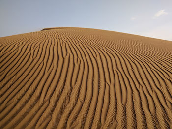 Sand dune with ripple pattern in the sand