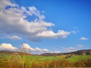 Scenic view of agricultural field against sky