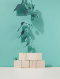 Podium from wooden cubes and a branch with green leaves. stage for the demonstration of cosmetic 