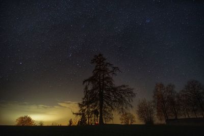 Low angle view of silhouette trees against sky at night