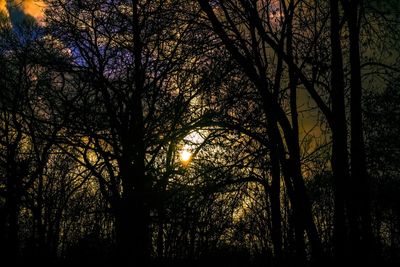 Silhouette of bare trees against sky at sunset