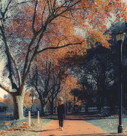 Rear view of woman walking on bare trees during autumn