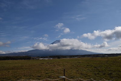 Scenic view of field against sky