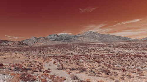 Scenic view of desert against sky during sunset