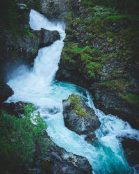 Scenic view of waterfall in forest