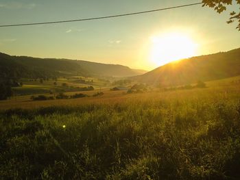 Sunset over field