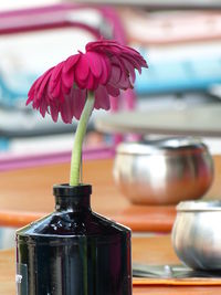 Pink flower in a vase on  a coffeetable