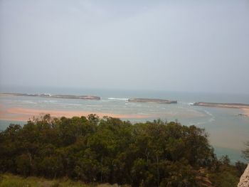 Scenic view of sea and trees against sky