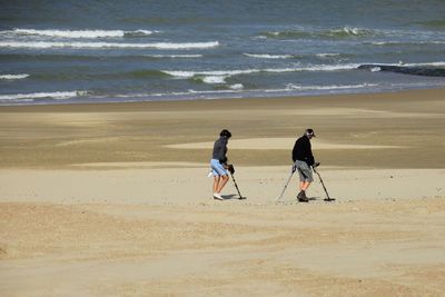Rear view of people using metal detectors while walking on beach