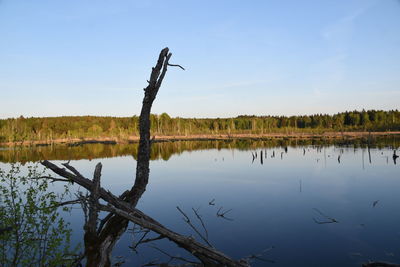 Scenic view of lake against clear blue sky