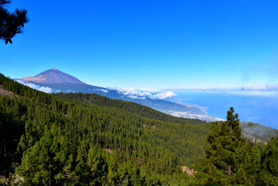 Scenic view of forest and mountains against blue sky